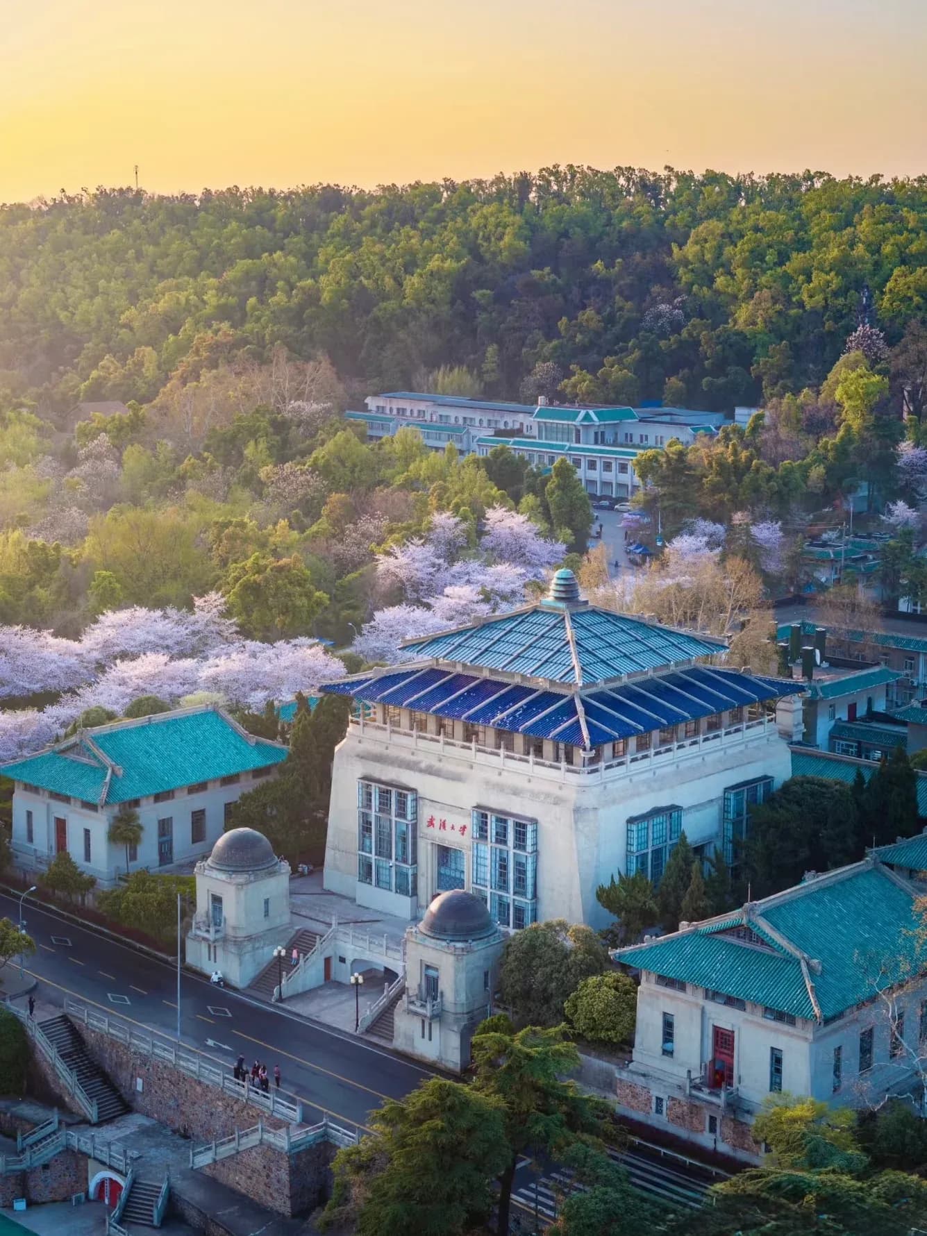 Wuhan University